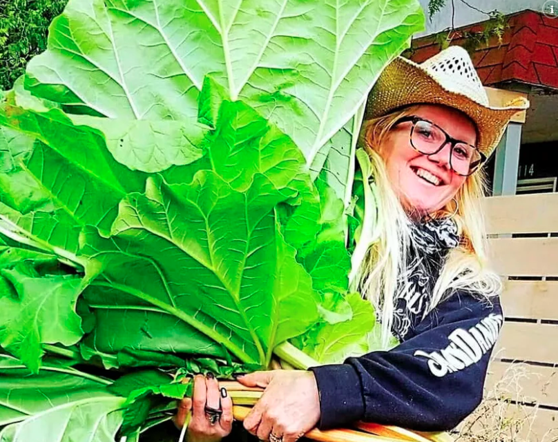K.A. in the news for rhubarb