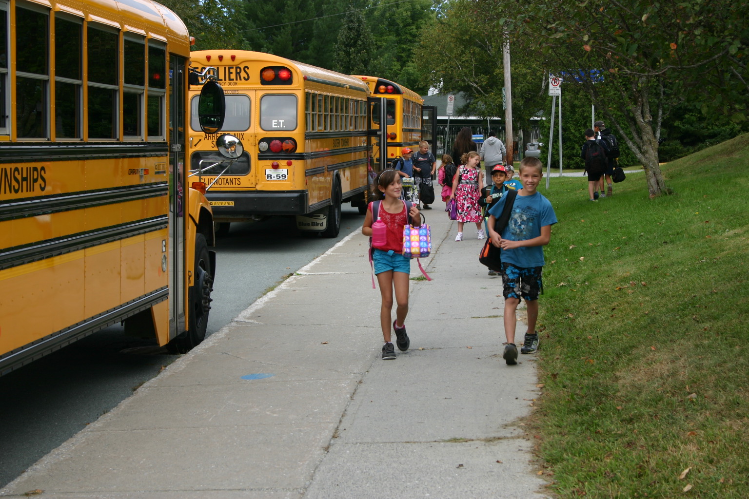 school-buses.jpg school-buses.jpg