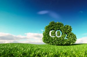 istockphoto-961826946-612x612 Carbon dioxide emissions control concept. 3d rendering of co2 cloud on fresh spring meadow with blue sky in background.